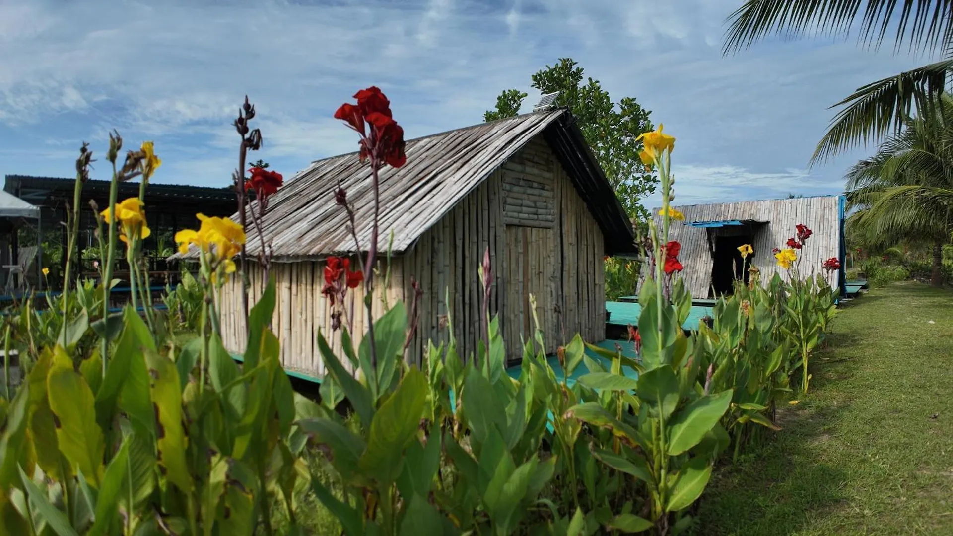 Love Uu Garden - Paddy View Stay With Bicycle Ride Balik Pulau Campsite