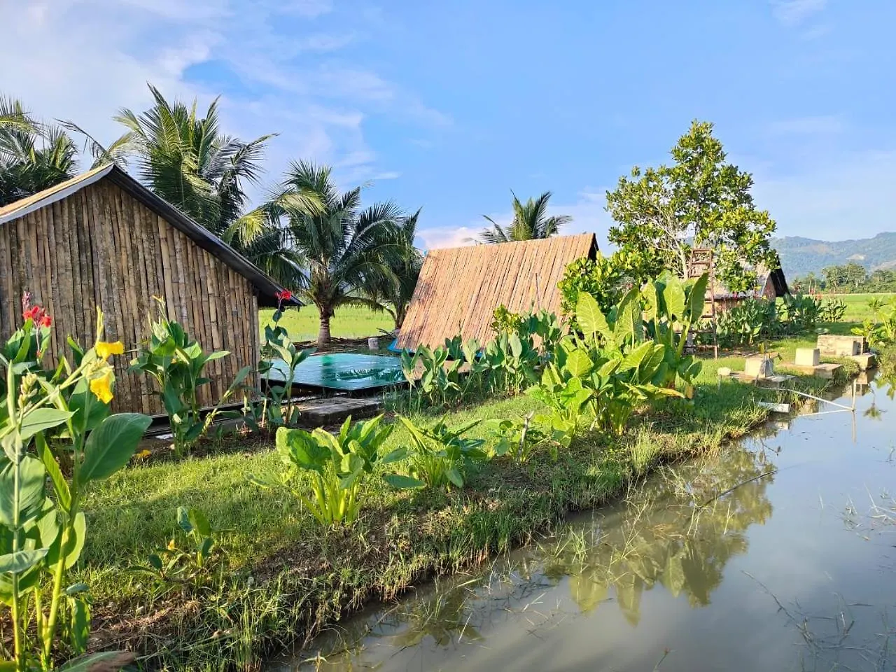 Love Uu Garden - Paddy View Stay With Bicycle Ride Balik Pulau